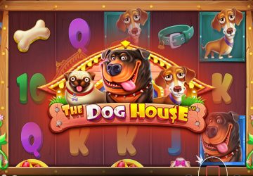 Microgaming - игровой автомат онлайн от Various с RTP 97.3%